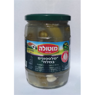 מלפפונים במלח גודל קטן - מוטולה